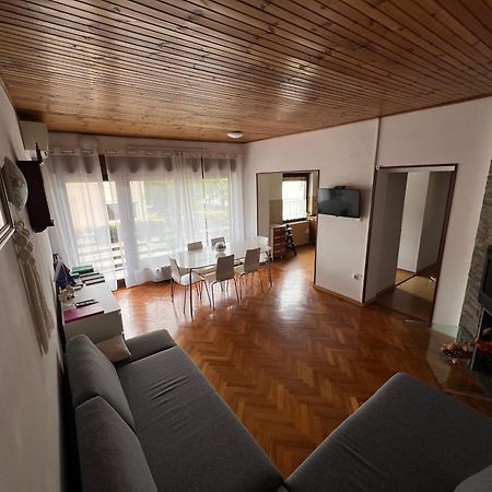 Apartma Magnolija نوفا جوريكا المظهر الخارجي الصورة