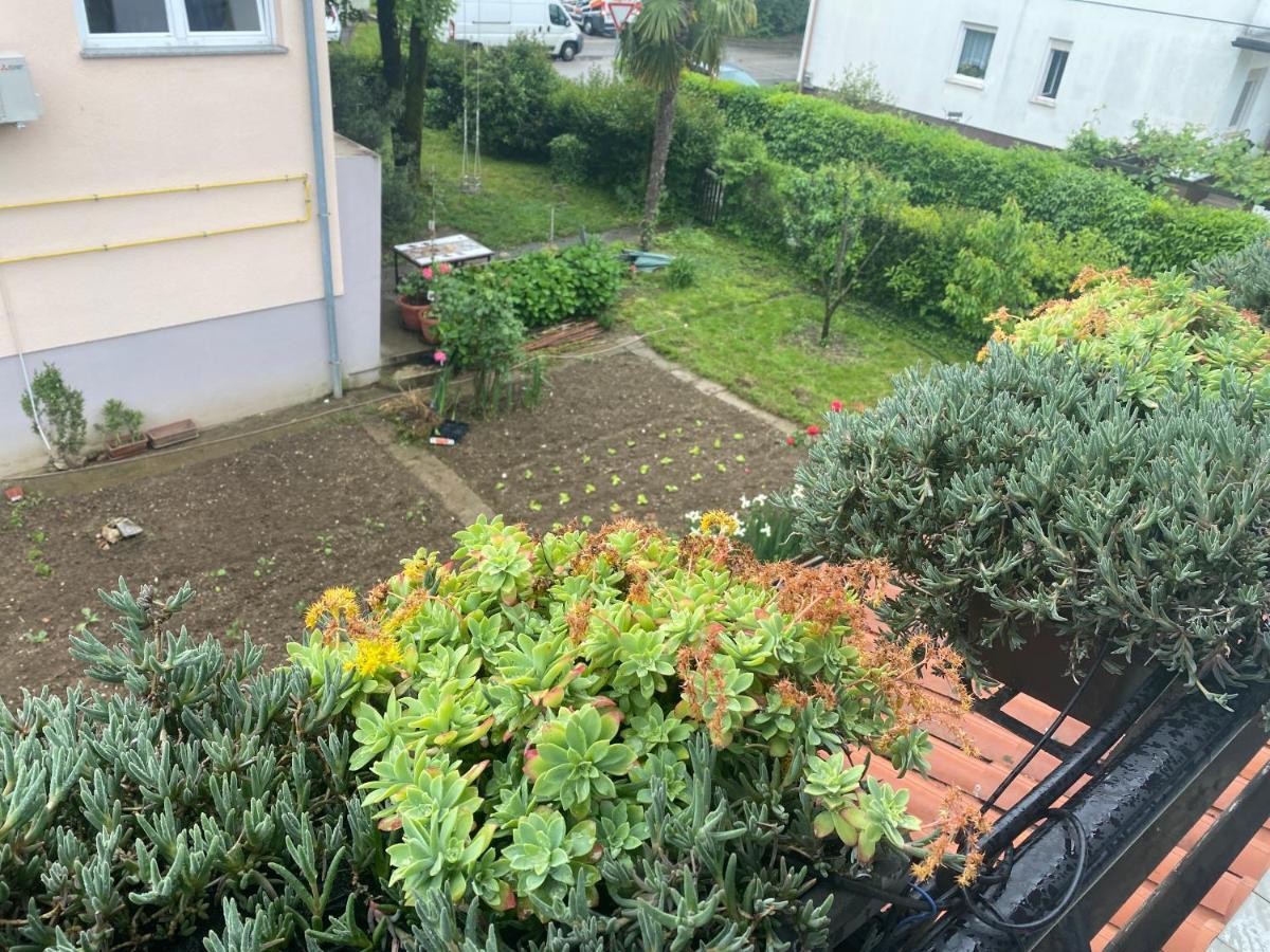 Apartma Magnolija نوفا جوريكا المظهر الخارجي الصورة